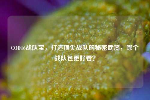 COD16战队宝,打造顶尖战队的秘密武器,哪个战队包更好看?