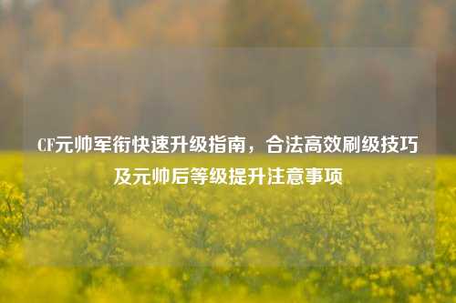CF元帅军衔快速升级指南,合法高效刷级技巧及元帅后等级提升注意事项