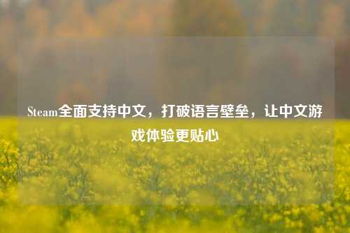 Steam全面支持中文,打破语言壁垒,让中文游戏体验更贴心
