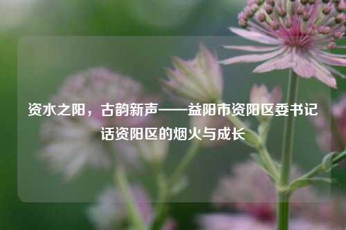 资水之阳,古韵新声——益阳市资阳区委书记话资阳区的烟火与成长