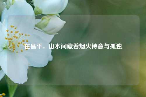 在昌平,山水间藏着烟火诗意与孤独