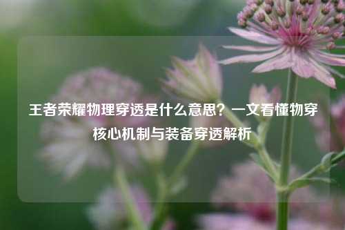 王者荣耀物理穿透是什么意思?一文看懂物穿核心机制与装备穿透解析