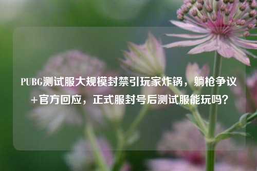 PUBG测试服大规模封禁引玩家炸锅,躺枪争议+官方回应,正式服封号后测试服能玩吗?