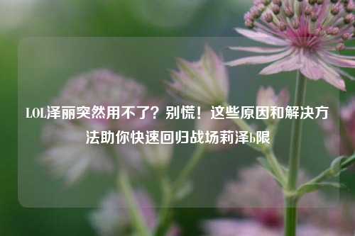 LOL泽丽突然用不了?别慌!这些原因和解决方法助你快速回归战场莉泽b限