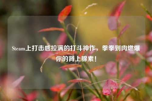 Steam上打击感拉满的打斗神作,拳拳到肉燃爆你的肾上腺素!