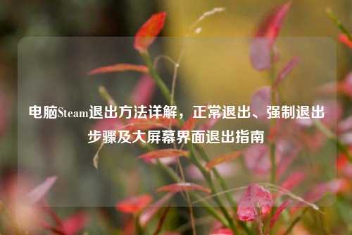 电脑Steam退出方法详解,正常退出、强制退出步骤及大屏幕界面退出指南