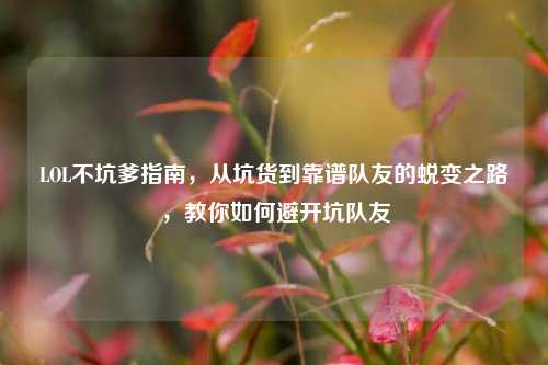 LOL不坑爹指南，从坑货到靠谱队友的蜕变之路，教你如何避开坑队友