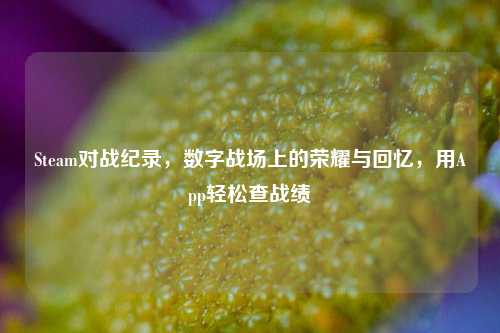 Steam对战纪录，数字战场上的荣耀与回忆，用App轻松查战绩