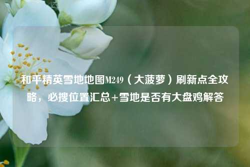 和平精英雪地地图M249(大菠萝)刷新点全攻略,必搜位置汇总+雪地是否有大盘鸡解答