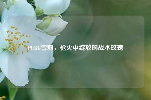 PUBG雪莉，枪火中绽放的战术玫瑰