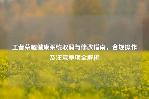 王者荣耀健康系统取消与修改指南,合规操作及注意事项全解析