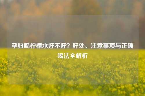 孕妇喝柠檬水好不好？好处、注意事项与正确喝法全解析