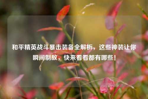 和平精英战斗暴击装备全解析,这些神装让你瞬间制敌,快来看看都有哪些!