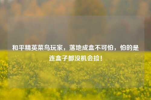 和平精英菜鸟玩家,落地成盒不可怕,怕的是连盒子都没机会捡!