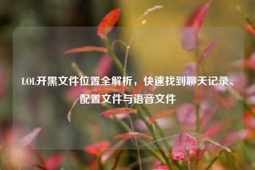 LOL开黑文件位置全解析,快速找到聊天记录、配置文件与语音文件