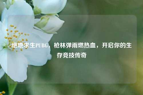 绝地求生PUBG,枪林弹雨燃热血,开启你的生存竞技传奇