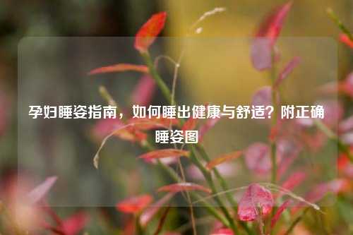 孕妇睡姿指南，如何睡出健康与舒适？附正确睡姿图