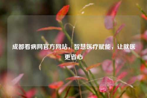 成都看病网官方网站,智慧医疗赋能,让就医更省心