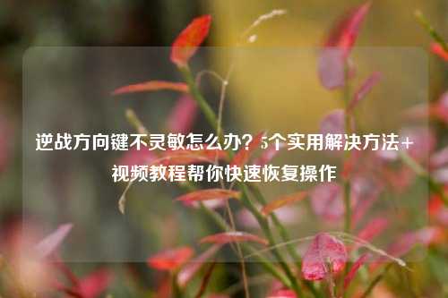 逆战方向键不灵敏怎么办?5个实用解决方法+视频教程帮你快速恢复操作