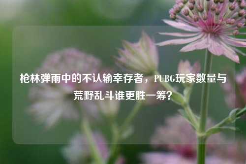 枪林弹雨中的不认输幸存者，PUBG玩家数量与荒野乱斗谁更胜一筹？