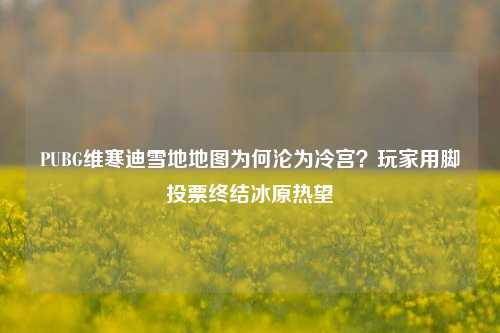 PUBG维寒迪雪地地图为何沦为冷宫？玩家用脚投票终结冰原热望