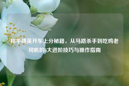 和平精英开车上分秘籍,从马路杀手到吃鸡老司机的5大进阶技巧与操作指南