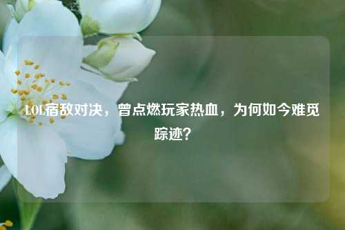 LOL宿敌对决，曾点燃玩家热血，为何如今难觅踪迹？