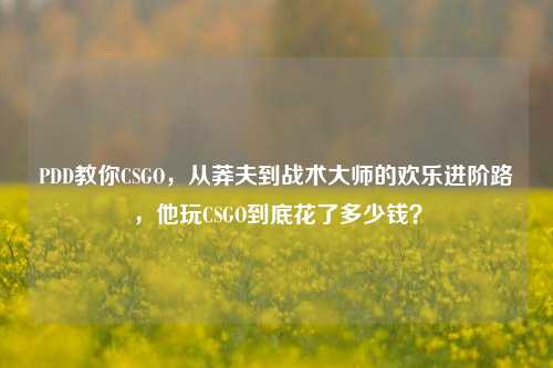 PDD教你CSGO,从莽夫到战术大师的欢乐进阶路,他玩CSGO到底花了多少钱?