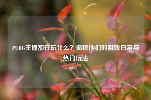 PUBG主播都在玩什么?揭秘他们的游戏日常与热门玩法