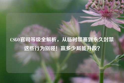 CSGO官司等级全解析，从临时禁赛到永久封禁这些行为别碰！赢多少局能升段？