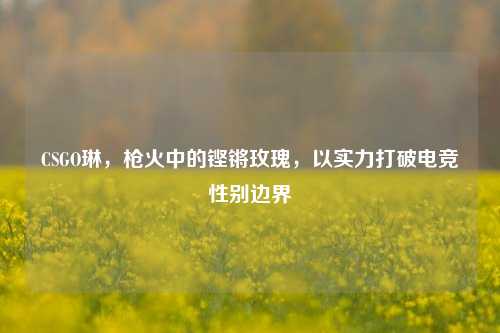 CSGO琳,枪火中的铿锵玫瑰,以实力打破电竞性别边界