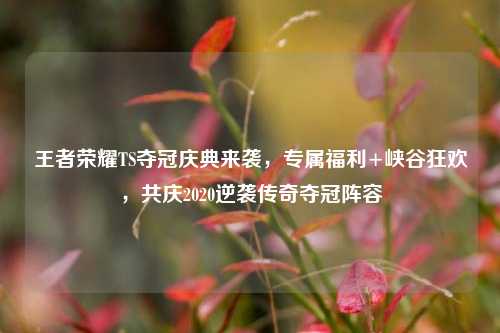 王者荣耀TS夺冠庆典来袭,专属福利+峡谷狂欢,共庆2020逆袭传奇夺冠阵容