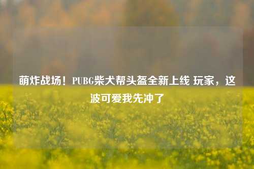 萌炸战场!PUBG柴犬帮头盔全新上线 玩家,这波可爱我先冲了