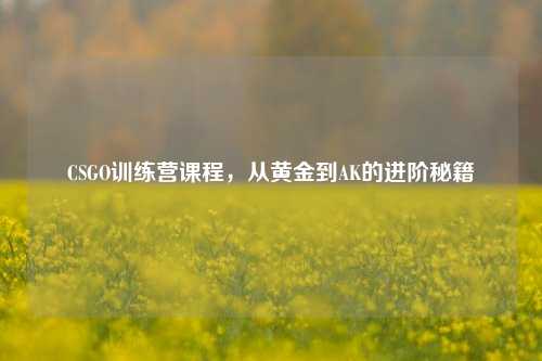 CSGO训练营课程，从黄金到AK的进阶秘籍