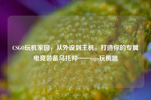 CSGO玩机家园,从外设到主机,打造你的专属电竞装备乌托邦——csgo玩机器