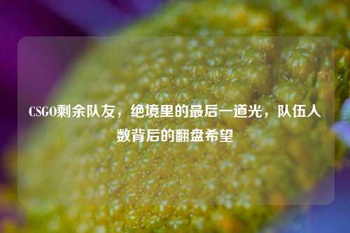 CSGO剩余队友,绝境里的最后一道光,队伍人数背后的翻盘希望