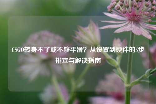 CSGO转身不了或不够平滑？从设置到硬件的5步排查与解决指南