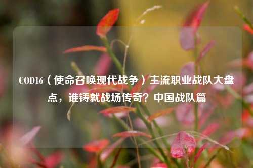 COD16（使命召唤现代战争）主流职业战队大盘点，谁铸就战场传奇？中国战队篇