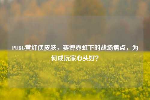 PUBG黄灯侠皮肤,赛博霓虹下的战场焦点,为何成玩家心头好?