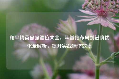 和平精英最强键位大全,从基础布局到进阶优化全解析,提升实战操作效率