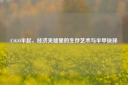 CSGO半起，经济夹缝里的生存艺术与半甲抉择