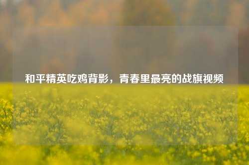 和平精英吃鸡背影，青春里最亮的战旗视频