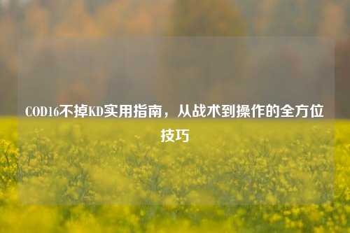 COD16不掉KD实用指南,从战术到操作的全方位技巧