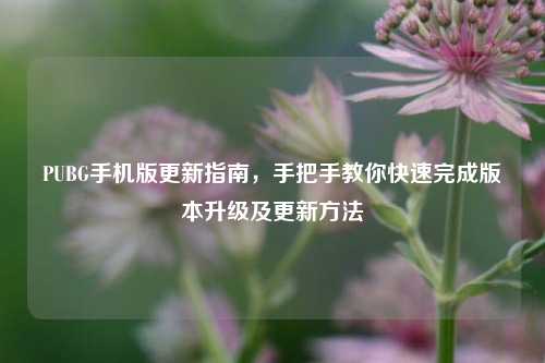 PUBG手机版更新指南，手把手教你快速完成版本升级及更新方法