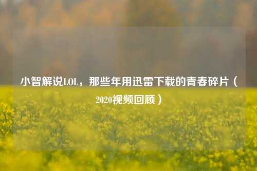 小智解说LOL,那些年用迅雷下载的青春碎片(2020视频回顾)