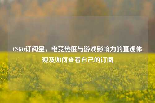 CSGO订阅量，电竞热度与游戏影响力的直观体现及如何查看自己的订阅