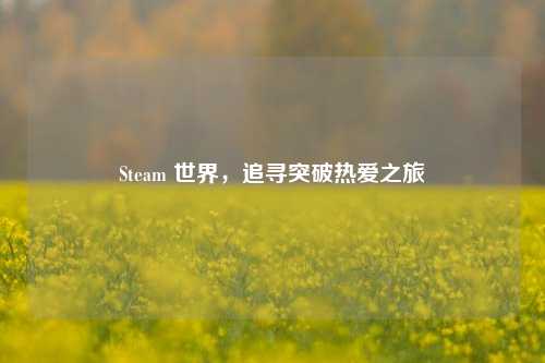 Steam 世界,追寻突破热爱之旅