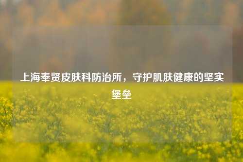 上海奉贤皮肤科防治所,守护肌肤健康的坚实堡垒