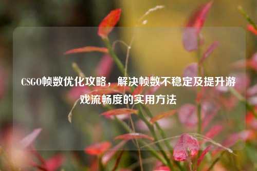CSGO帧数优化攻略，解决帧数不稳定及提升游戏流畅度的实用方法