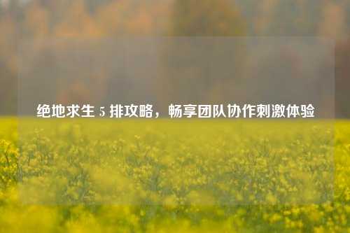 绝地求生 5 排攻略,畅享团队协作刺激体验
